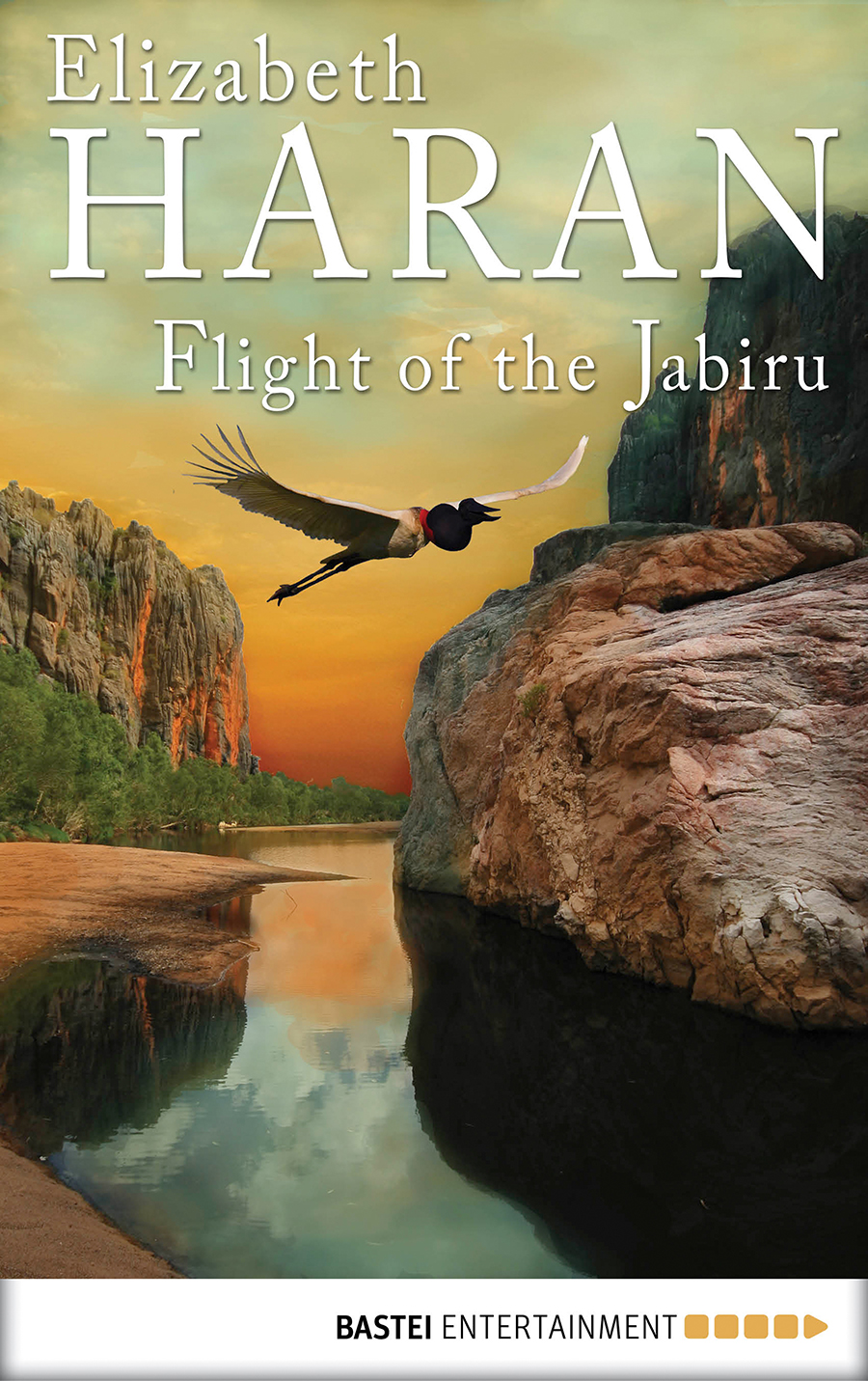 Flight of the Jabiru