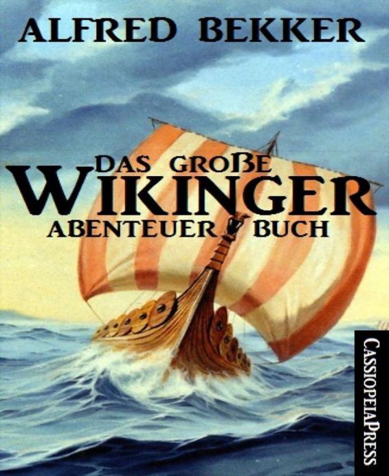 Das große Wikinger Abenteuer Buch Cassiopeiapress Junior