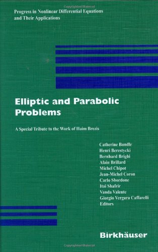 Elliptic and Parabolic Problems 