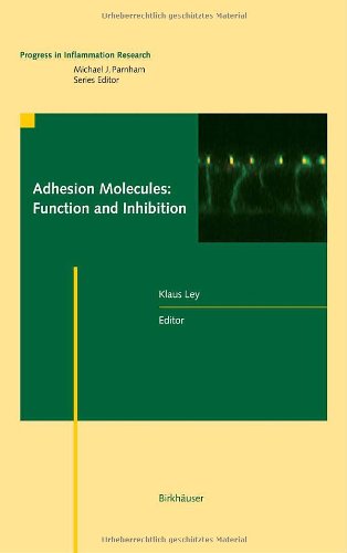 Adhesion Molecules