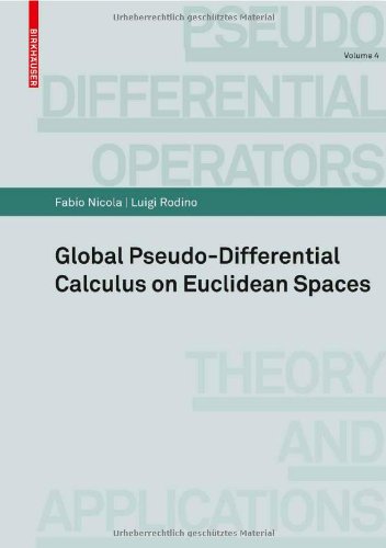 Global Pseudo Differential Calculus On Euclidean Spaces (Pseudo Differential Operators)