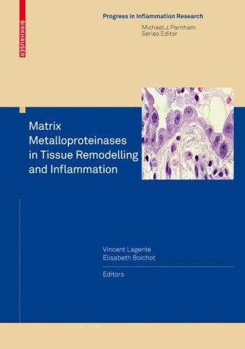 Matrix Metalloproteinases in Tissue Remodelling and Inflammation