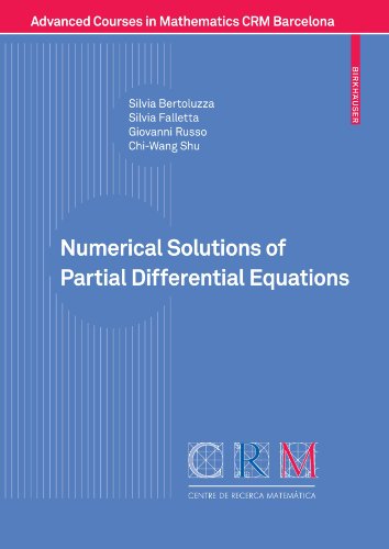 Numerical Solutions of Partial Differential Equations