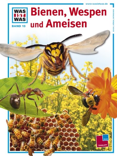 Wunderwelt der Bienen und Ameisen