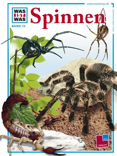 Spinnen