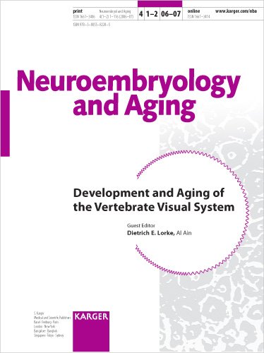 Development and aging of the vertebrate visual system