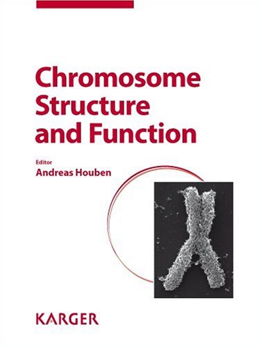 Chromosome structure and function.