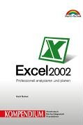 Excel 2002 : professionell analysieren und planen