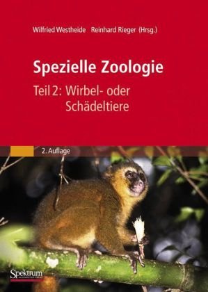 Spezielle Zoologie. Teil 2