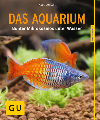 Das Aquarium Bunter Mikrokosmos im Becken