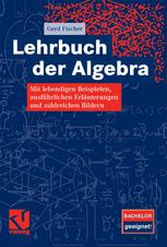 Lehrbuch der Algebra : Mit lebendigen Beispielen, ausführlichen Erläuterungen und zahlreichen Bildern