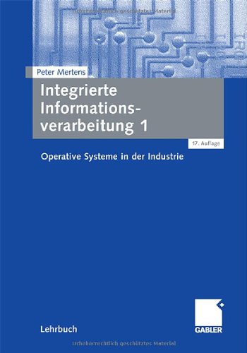 Integrierte Informationsverarbeitung 1