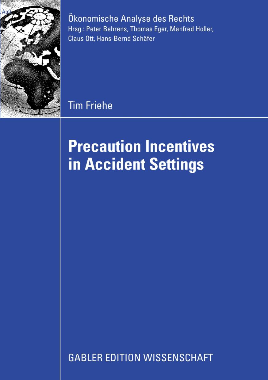 Precaution Incentives in Accident Settings