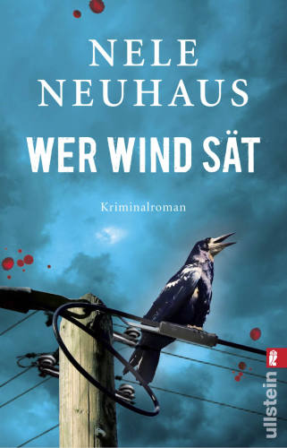 Wer Wind sät