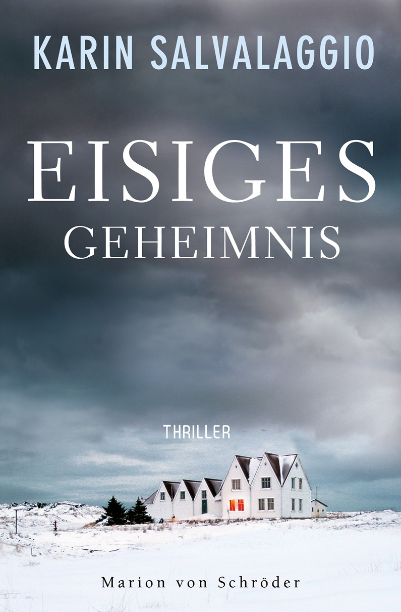 Eisiges Geheimnis Thriller