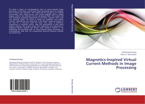 Magnetics-Inspired Virtual Current Methods in Image Processing