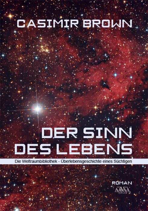 Der Sinn des Lebens die Weltraumbibliothek ; Überlebensgeschichte eines Süchtigen ; Roman