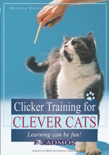 Clicker Training for Clever Cats