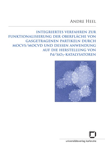 Integriertes Verfahren zur Funktionalisierung der Oberfläche von gasgetragenen Partikeln durch MOCVS, MOCVD und dessen Anwendung auf die Herstellung von Pd-SiO2-Katalysatoren