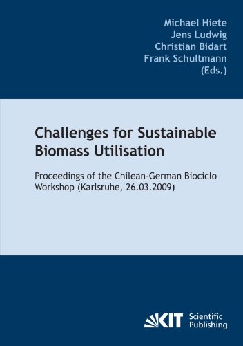 Challenges for sustainable biomass utilisation proceedings of the Chilean-German Biociclo Workshop (Karlsruhe, 26.03.2009)