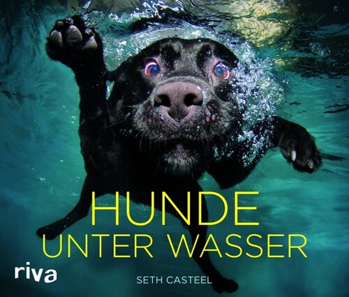 Hunde unter Wasser