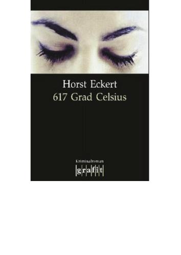 617 Grad Celsius (German Edition)