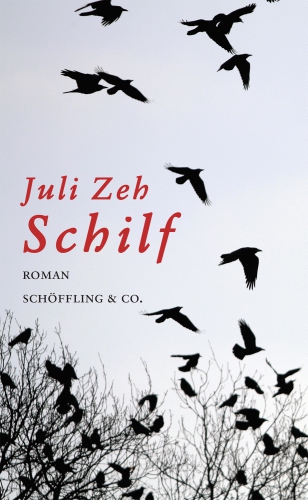 Schilf