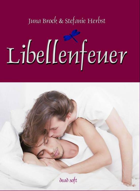 Libellenfeuer