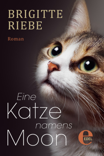 Eine Katze namens Moon