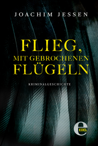 Flieg, mit gebrochenen Flügeln (German Edition)