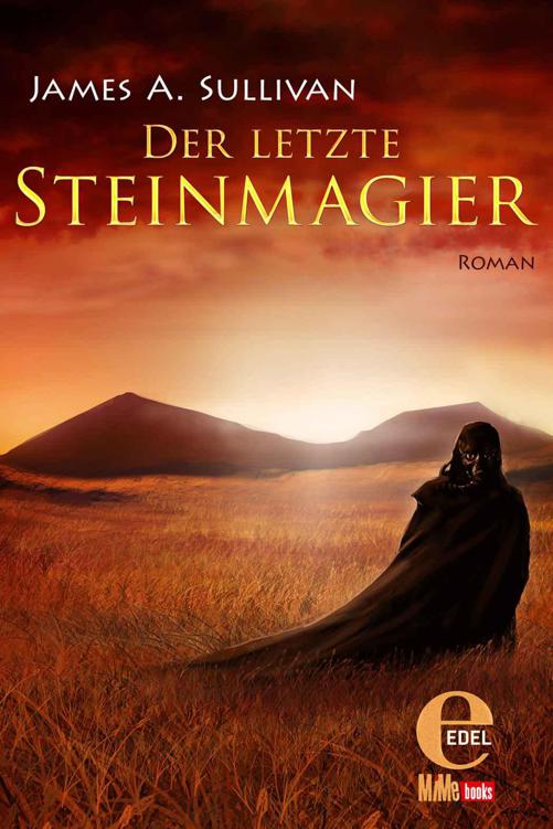 Der letzte Steinmagier Roman