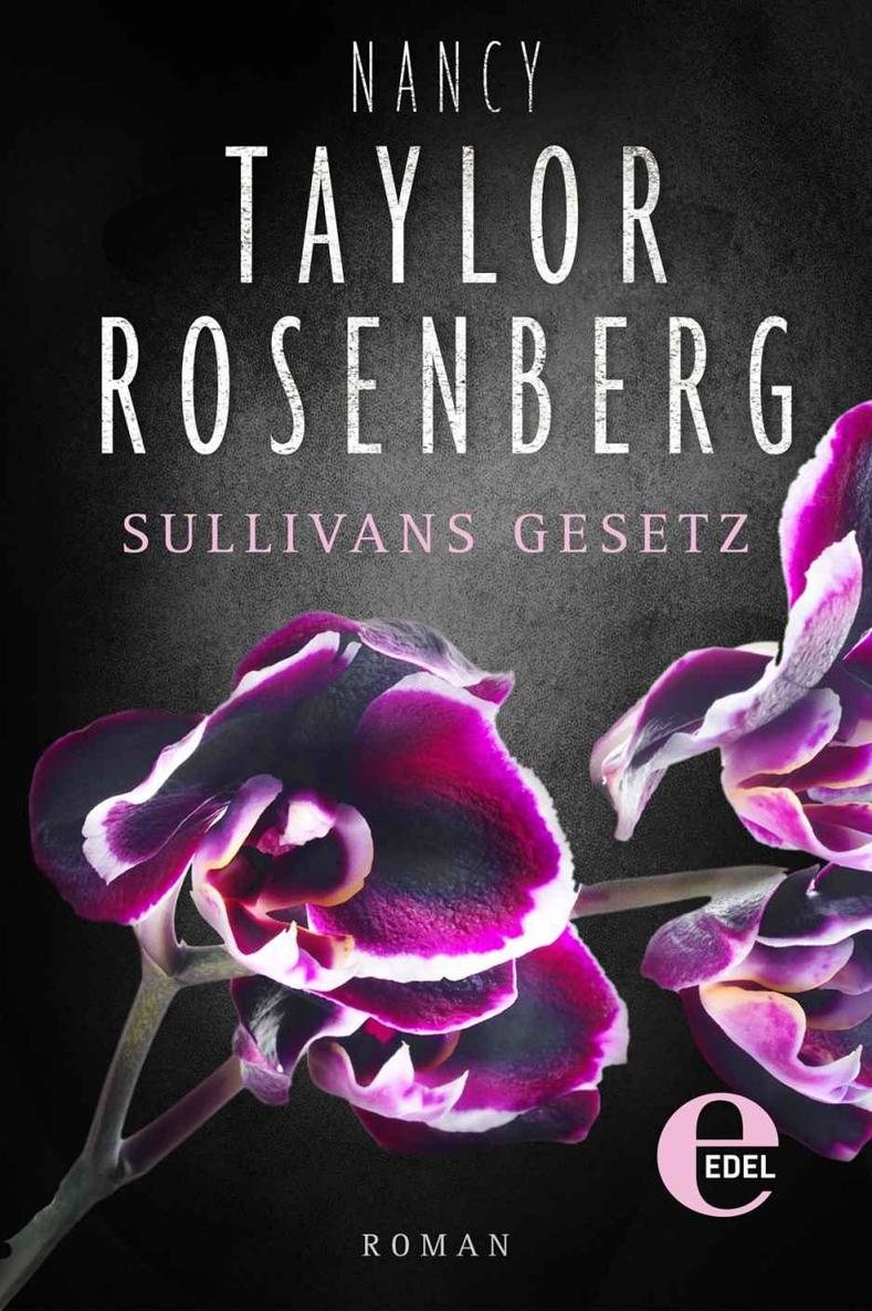 Sullivans Gesetz Thriller