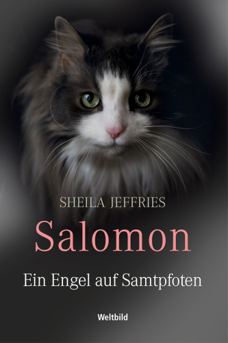 Salomon - Ein Engel auf Samtpfoten