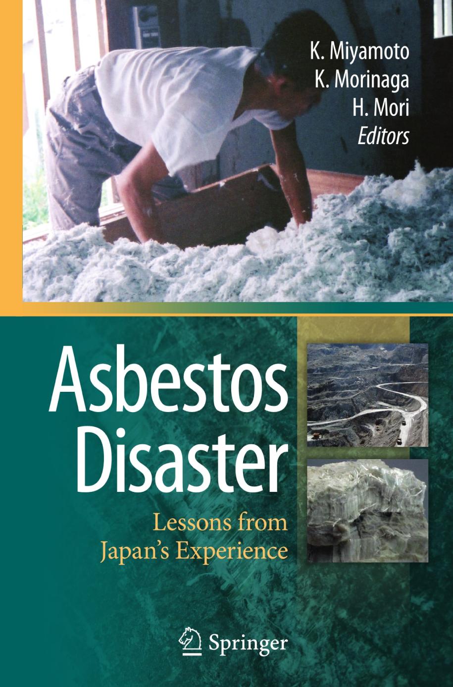 Asbestos Disaster Lessons from Japan's Experience