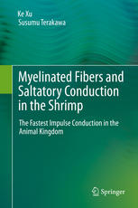 Myelinated Fibers and Saltatory Conduction in the Shrimp The Fastest Impulse Conduction in the Animal Kingdom