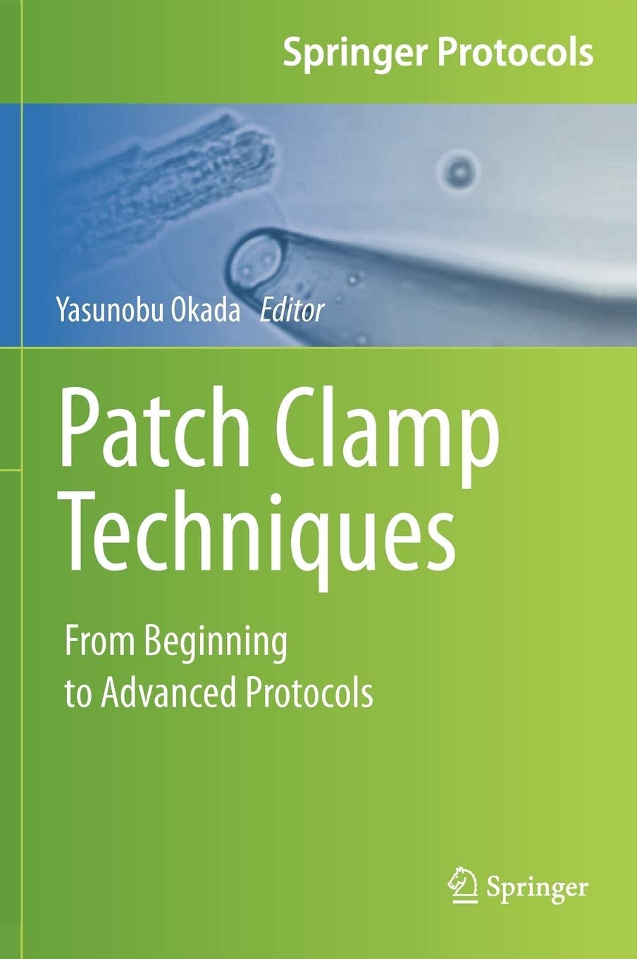 Patch Clamp Techniques