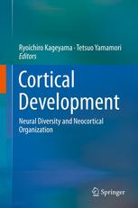 Cortical Development Neural Diversity and Neocortical Organization