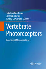 Vertebrate photoreceptors : functional molecular bases