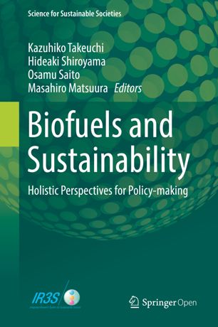 Biofuels and sustainability : holistic perspectives for policy-making