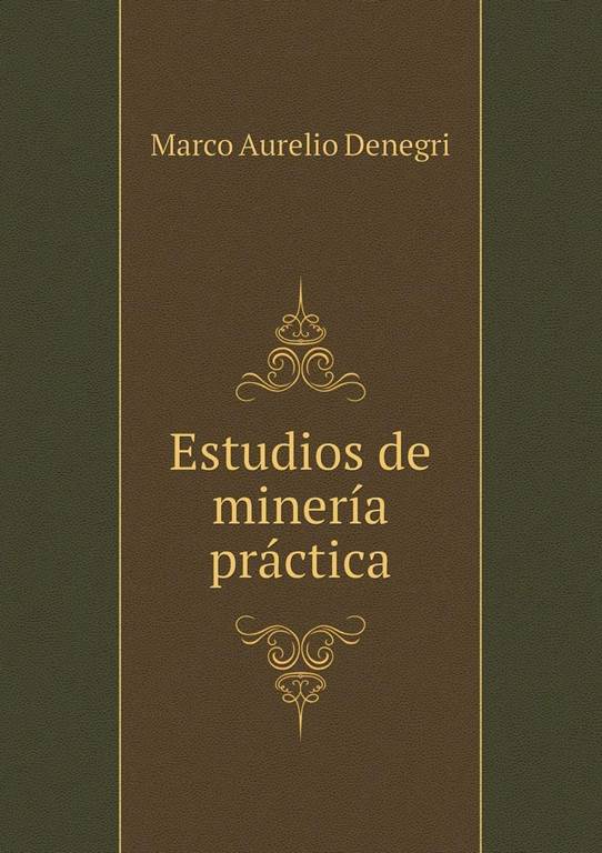 Estudios de miner&iacute;a pr&aacute;ctica (Spanish Edition)