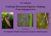 <div class=vernacular lang="ru">Стрекозы Восточной Европы и Кавказа : атлас-определитель = The dragonflies of Eastern Europe and Caucasus : an illustraded [sic] guide /</div>
Strekozy Vostochnoĭ Evropy i Kavkaza : atlas-opredelitelʹ = The dragonflies of Eastern Europe and Caucasus : an illustraded [sic] guide