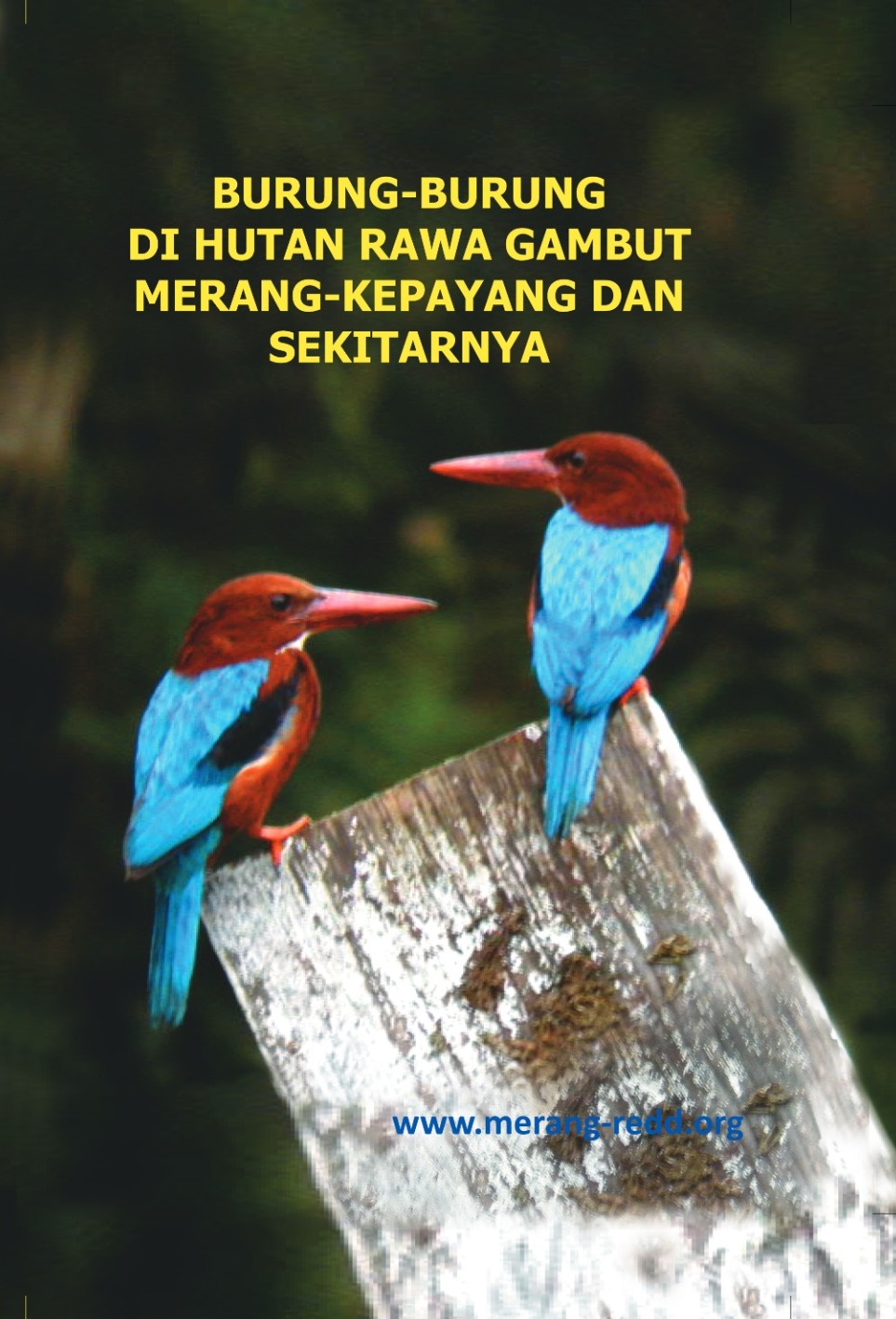 Burung-Burung di Hutan Rawa Gambut Merang-Kepayang dan Sekitarnya