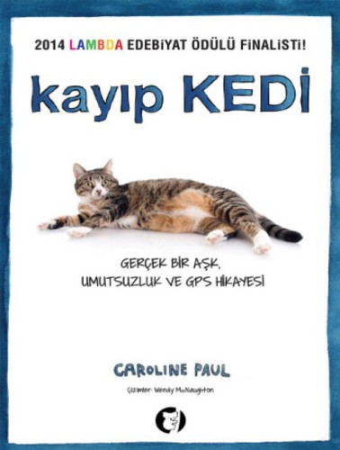 Kayıp Kedi