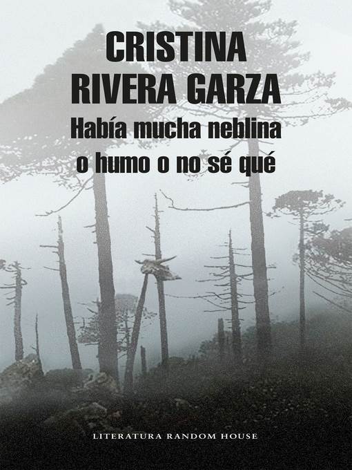 Había mucha neblina o humo o no sé que