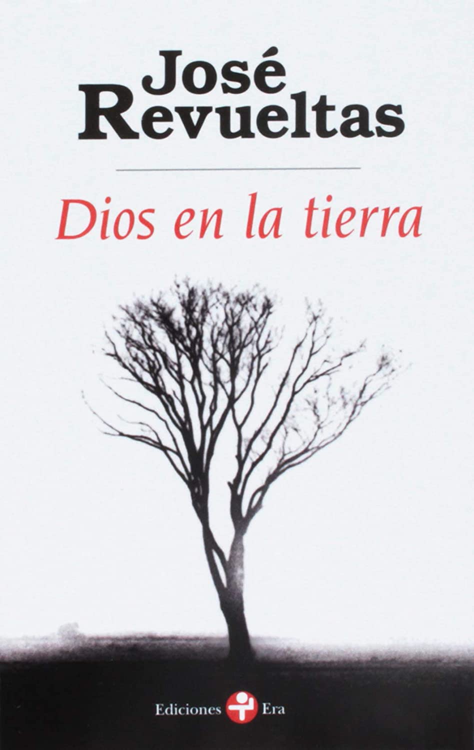 Dios en la tierra (Spanish Edition)