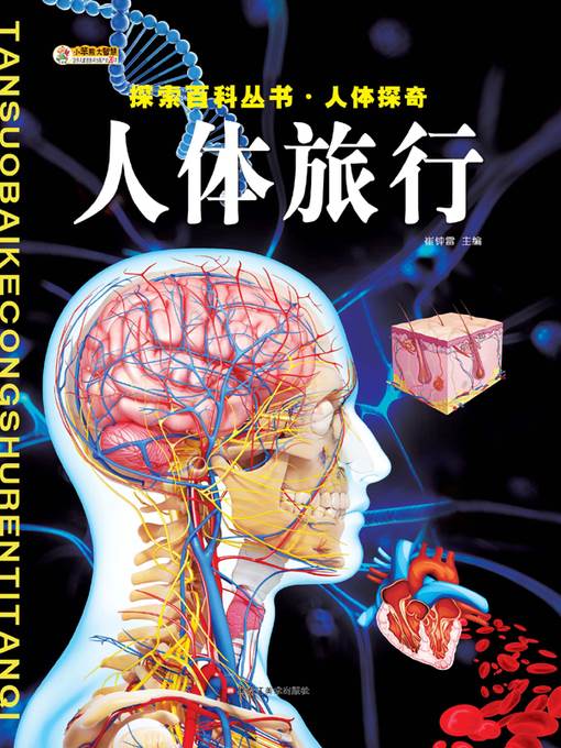 人体旅行