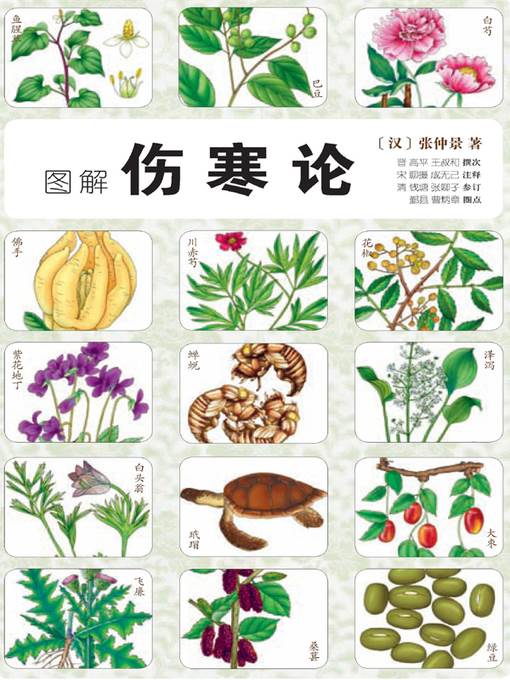 图解伤寒论