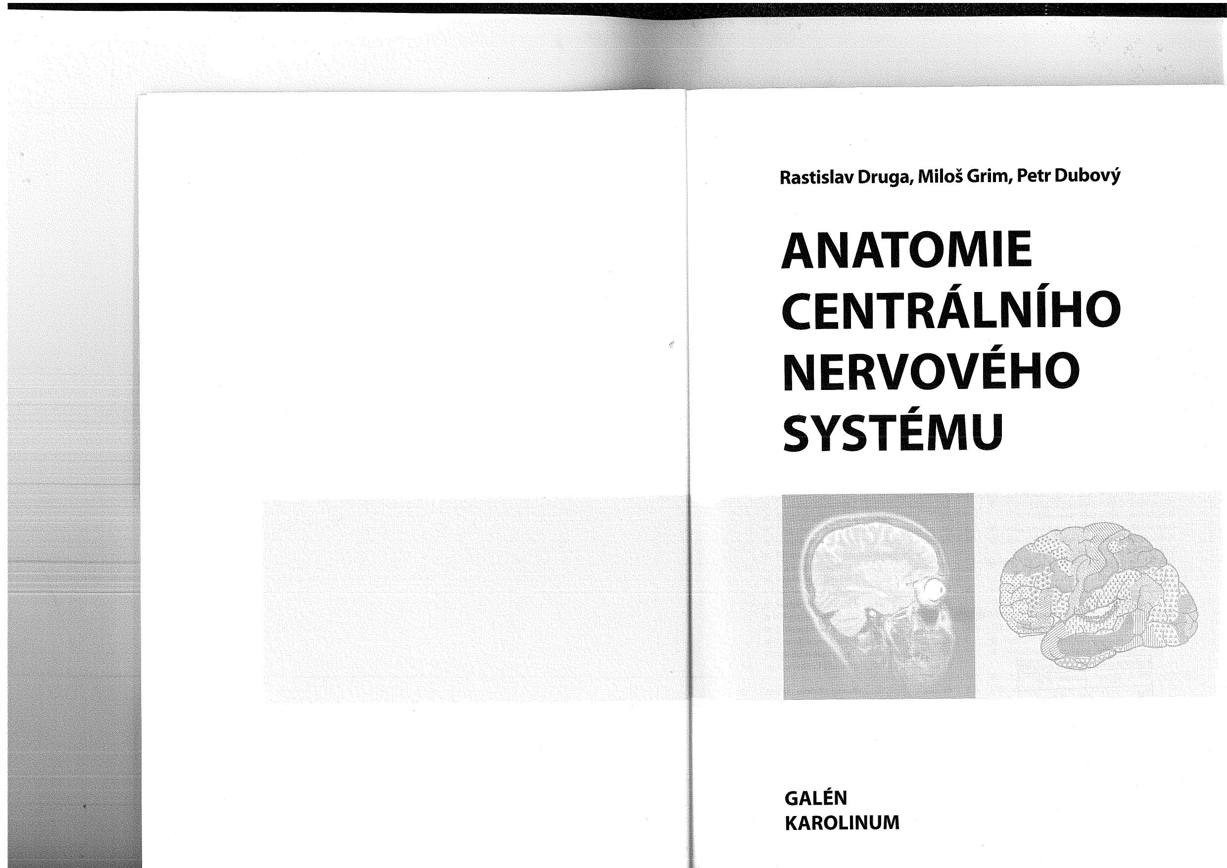 Anatomie centrálního nervového systému