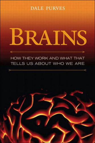 Brains : how they seem to work