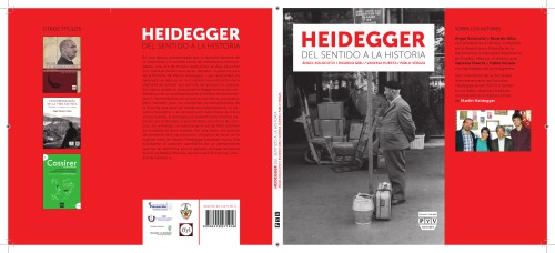 Heidegger y el nacionalsocialismo : una cronica.